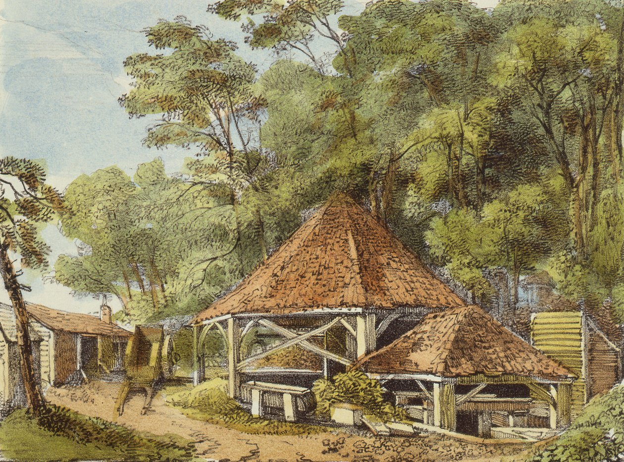 水厂，Kew花园，Kew花园22号板块：石头上的二十四幅图纸系列，由Charles Hullmandel（1789-1850）雕刻，1820年出版（手工彩色版画） 作者 帕彭迪克之后的乔治·欧内斯特