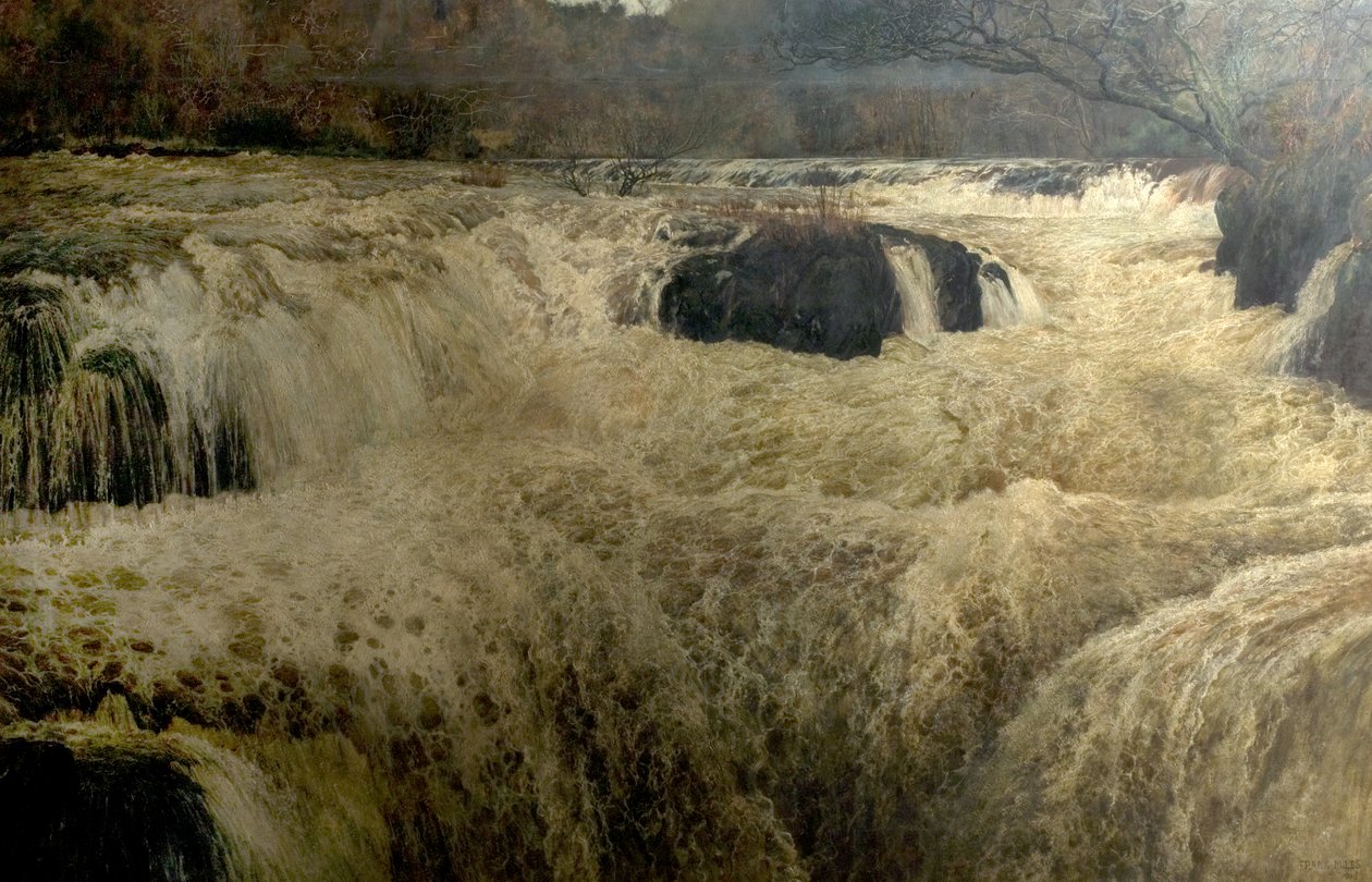 Salmon Leap，Cenarth Falls，Cardiganshire，Wales，1878 作者 乔治·弗兰克·迈尔斯