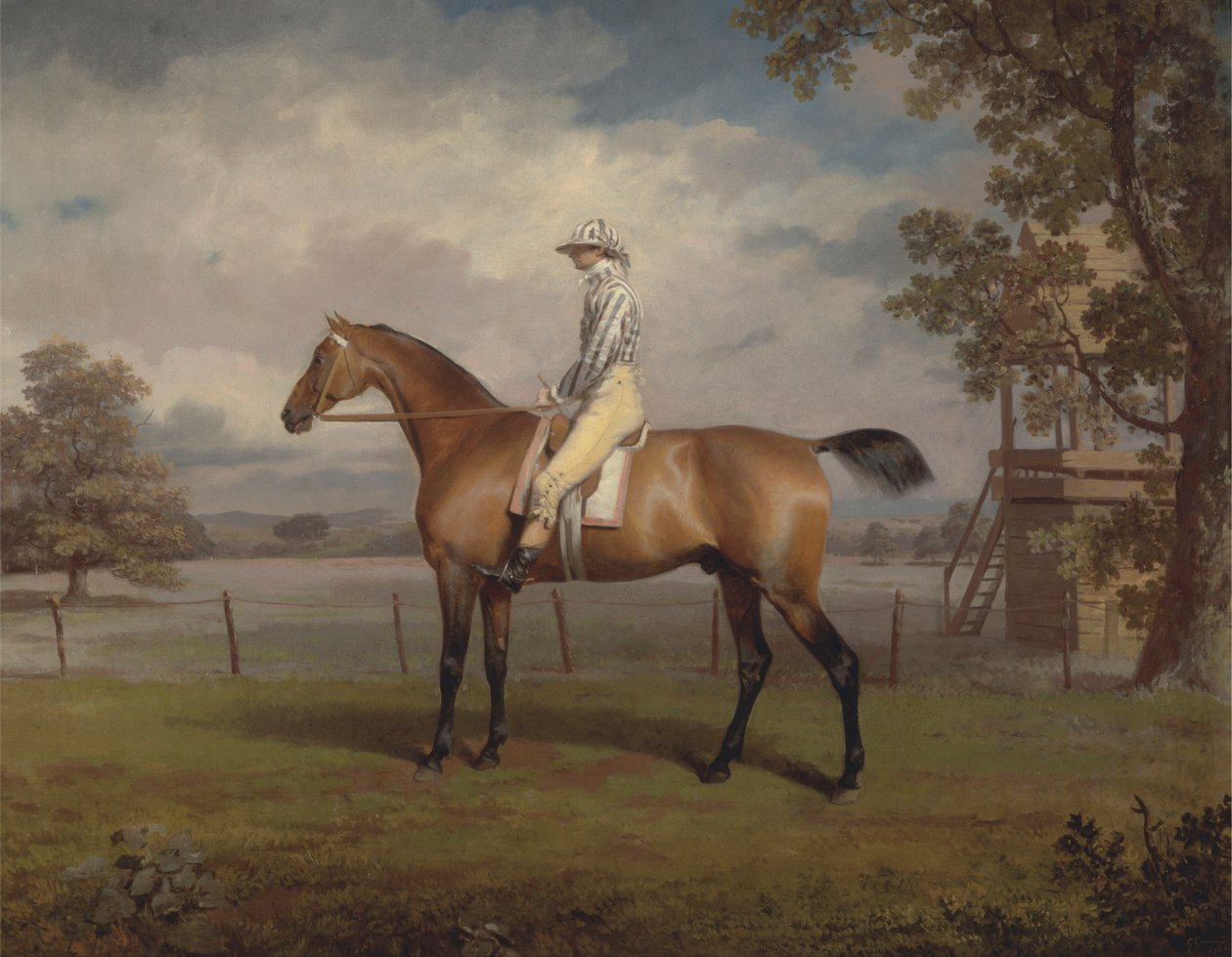 Portrait of a Racehorse, Possibly Disguise, the Property of the Duke of Hamilton, with Jockey Up   1432684   zh       chinese Successfully Translated  Original: Paradisier grand emeraude - Bird of paradise (Paradisaea apoda) Translat: Paradisier grand emer 作者 乔治·加拉德