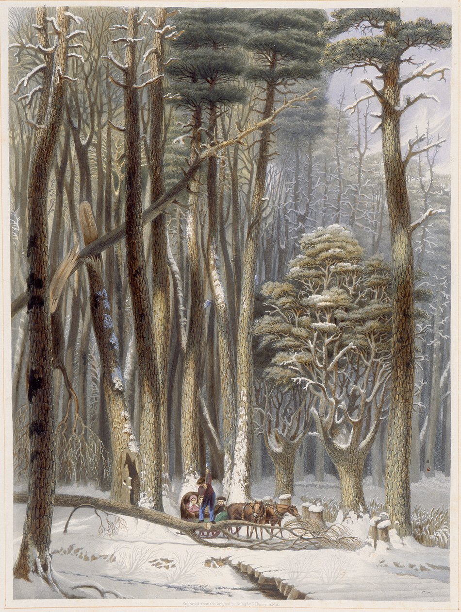 冬季，松树林中的旅行受阻，来自美国原始森林的Harveys场景，1841年（手工彩色aquatint） 作者 乔治·哈维