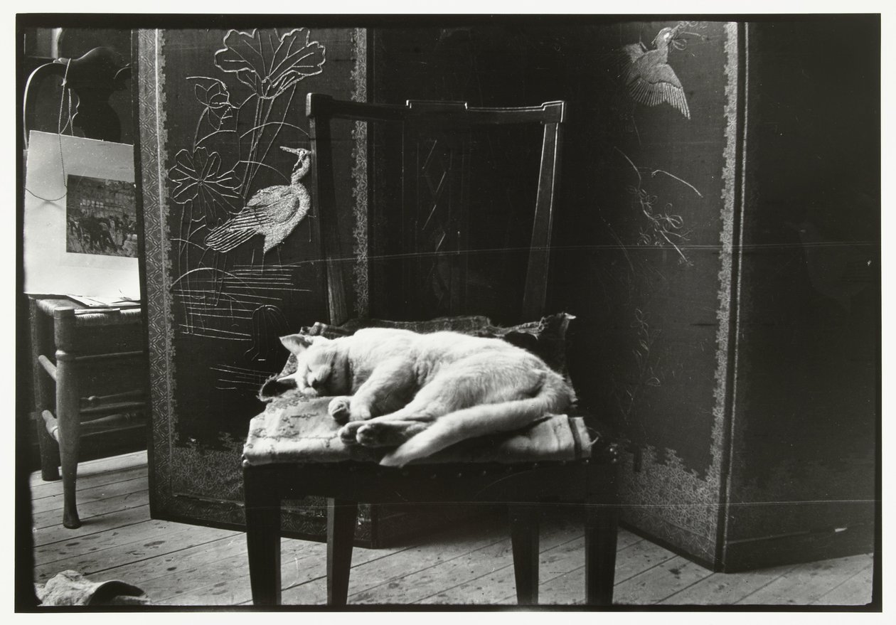 阿姆斯特丹 Breitner 工作室椅子上的小猫 作者 乔治·亨德里克·布雷特纳