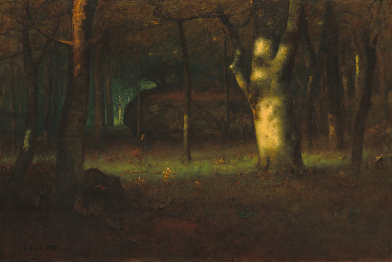 森林中的夕阳，1891年。 作者 乔治·英尼斯