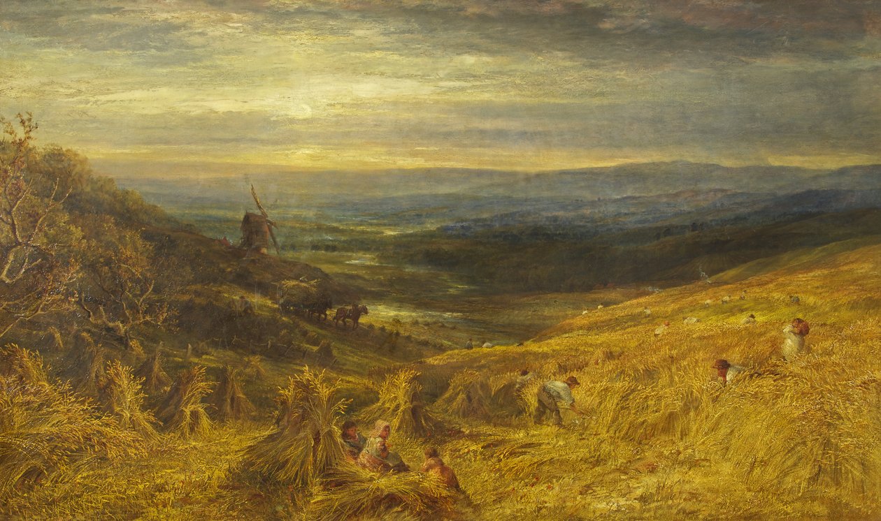 萨里玉米田，约 1877 年（布面油画） 作者 乔治·卢卡斯