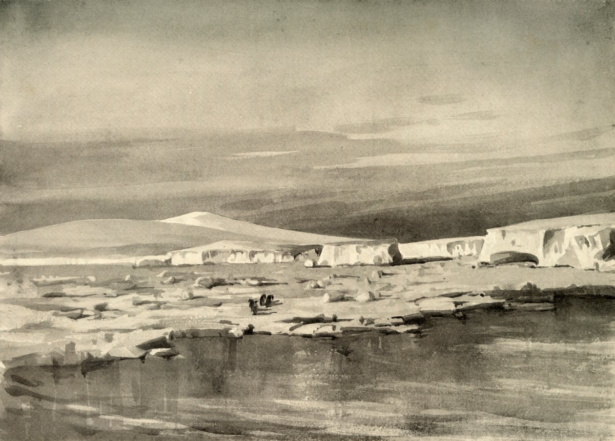 鲸鱼湾或气球湾，1909年，1909年。 作者 乔治马斯顿