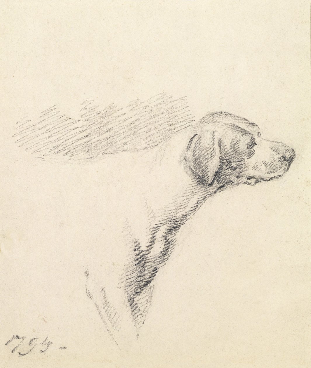 研究猎犬，1794年 作者 乔治·莫兰德