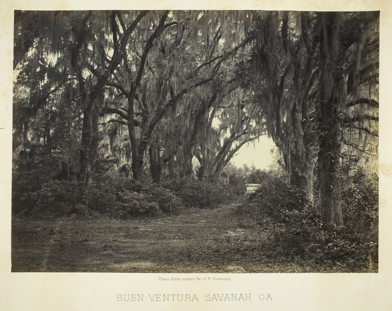 Buen-Ventura Savannah, Ga., 1866。 作者 乔治·N·巴纳德