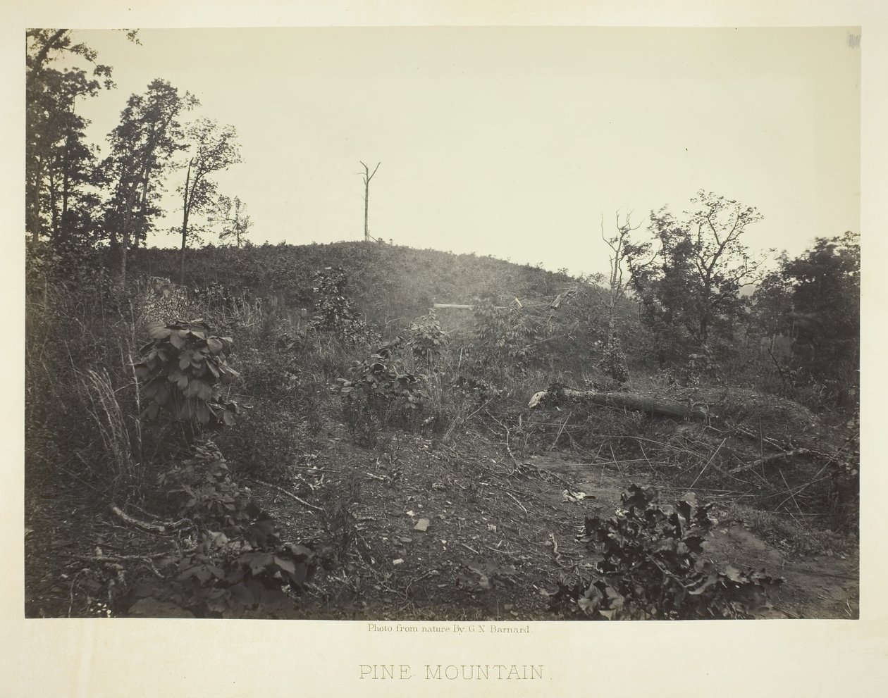 松树山，1866年。 作者 乔治·N·巴纳德