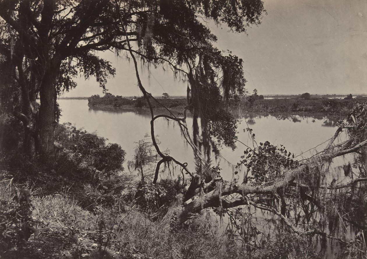 萨瓦纳河，佐治亚州萨瓦纳附近，1860年代。 作者 乔治·N·巴纳德