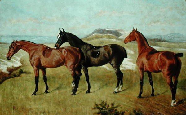 三匹马惠森丁、燕子和天普 作者 乔治·派斯