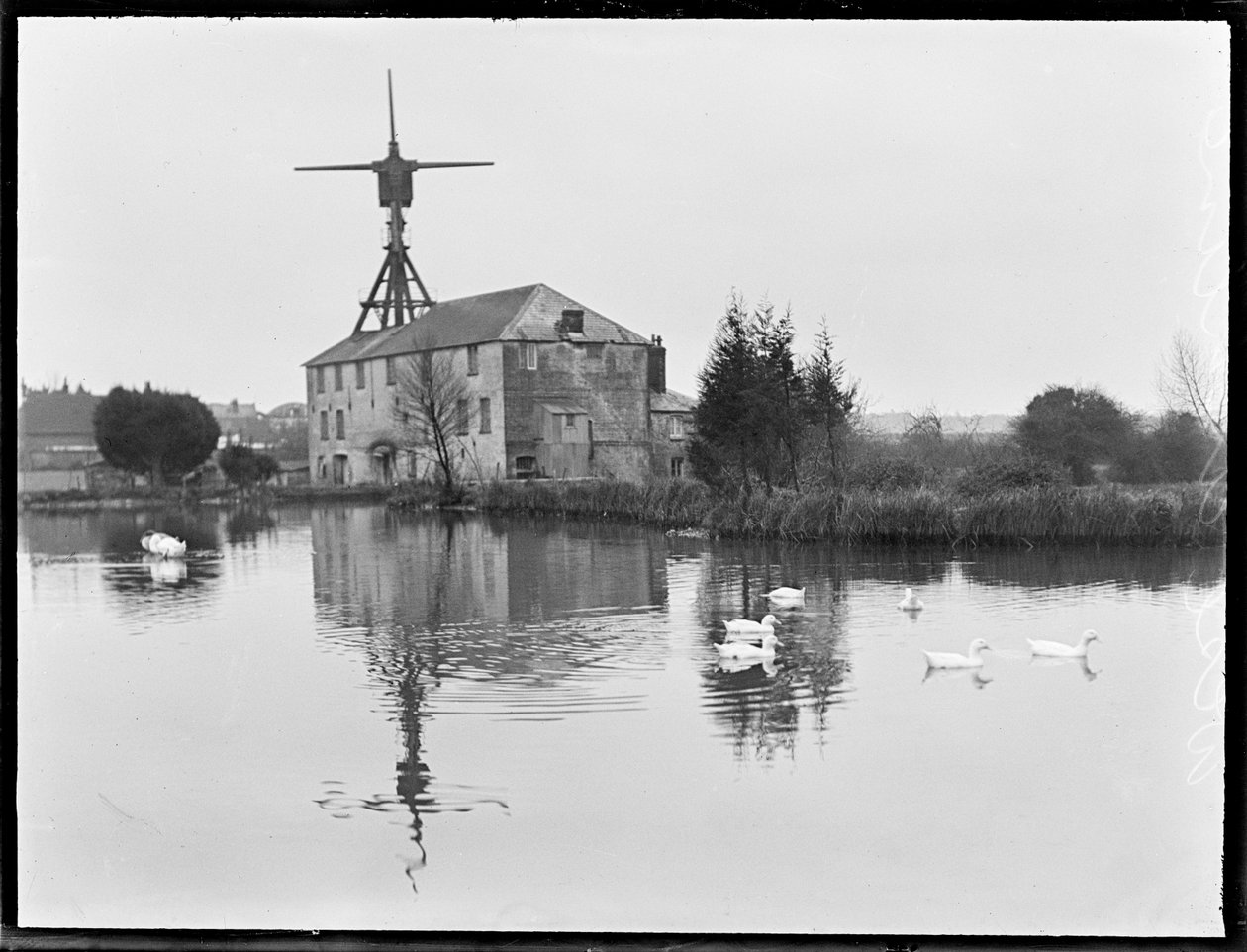 西阿什林磨坊 作者 