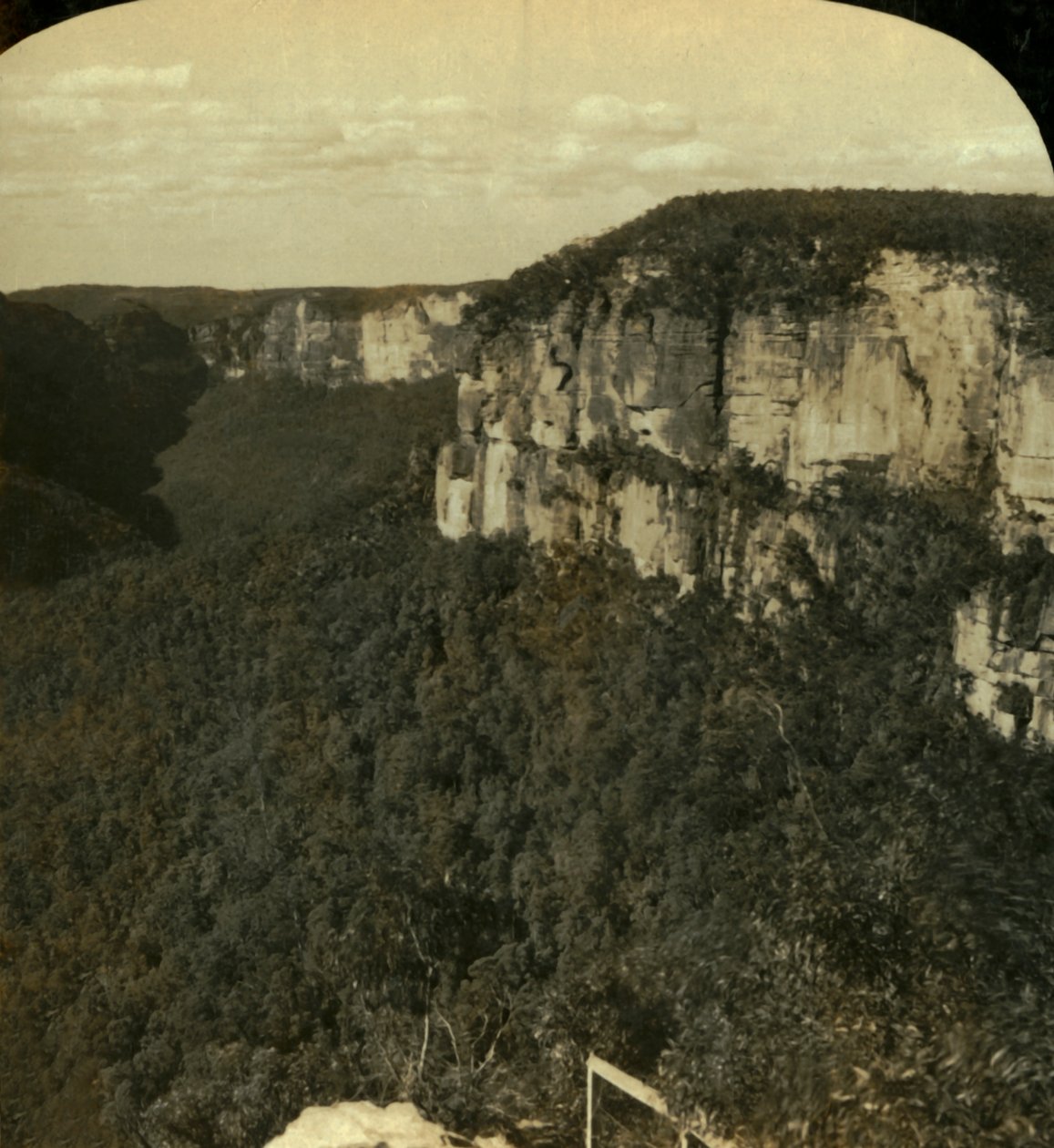 1909年，澳大利亚新南威尔士州蓝山山脉的格罗斯谷（Grose Valley）。 作者 乔治·罗斯