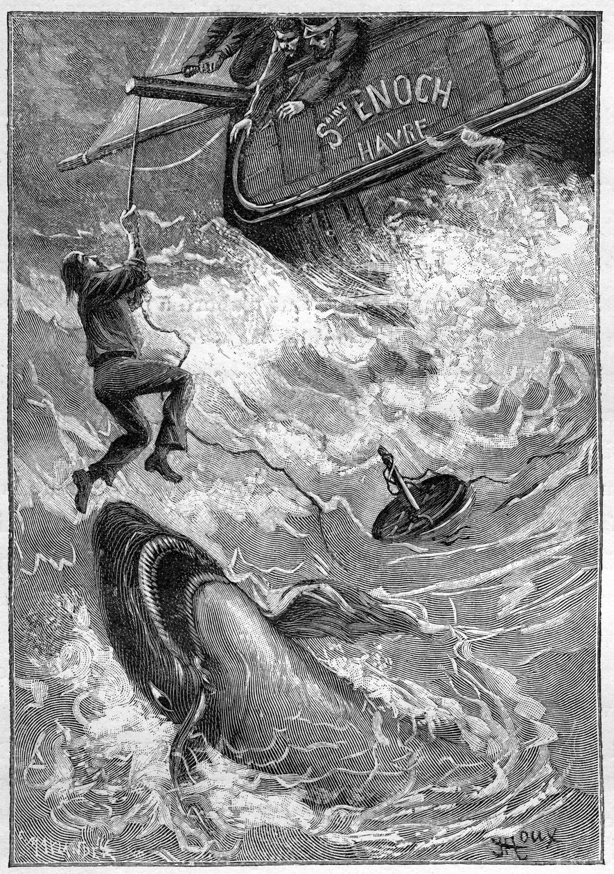儒勒-凡尔纳的小说 "Les histoires de Jean-Marie Cabidoulin"（1901 年），Hetzel Collection/Extraordiaires，插图作者 George Roux。"海上场景：水手在太平洋被鲨鱼袭击 作者 乔治·鲁克斯