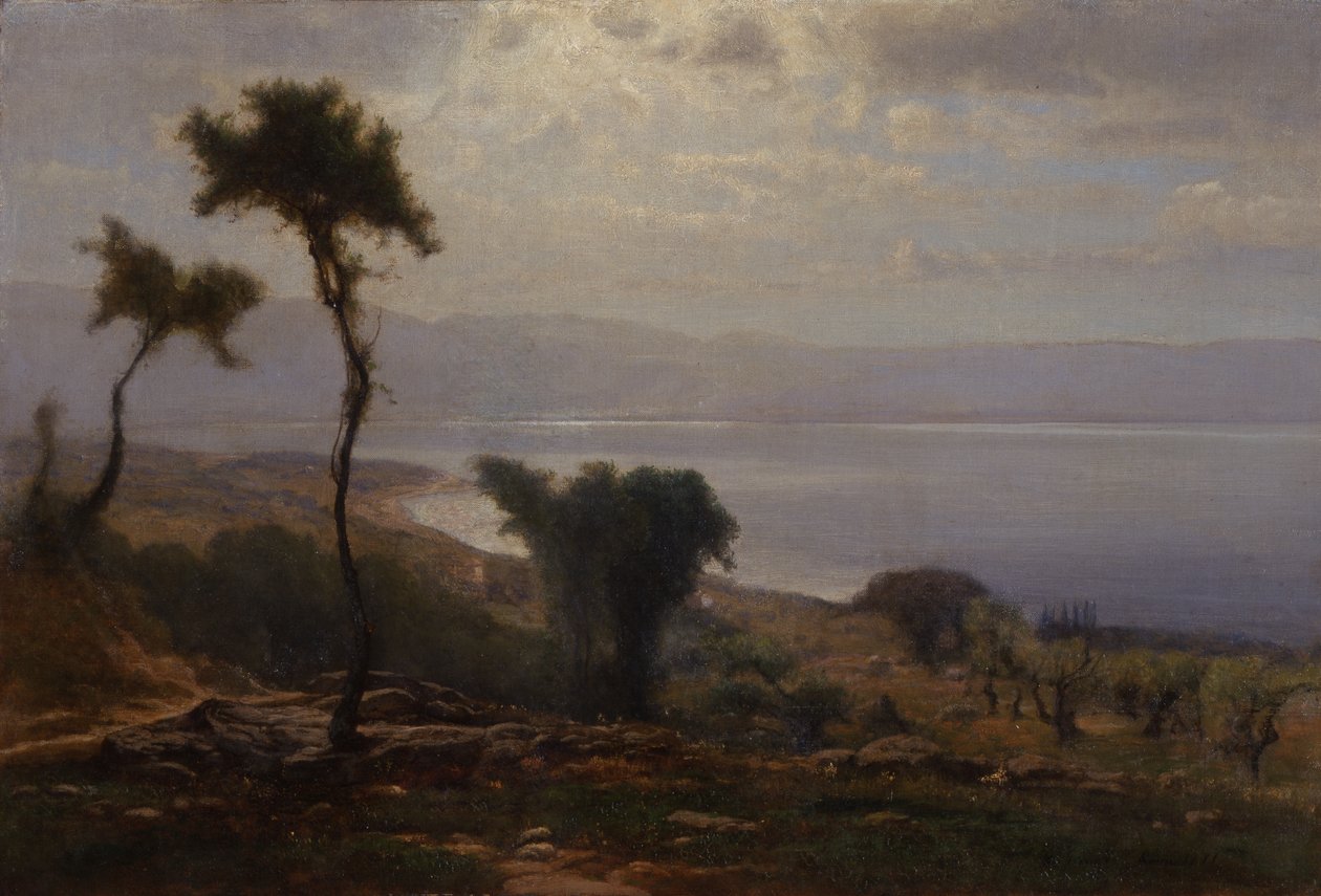 景观，1871年 作者 乔治·斯尼尔因内斯