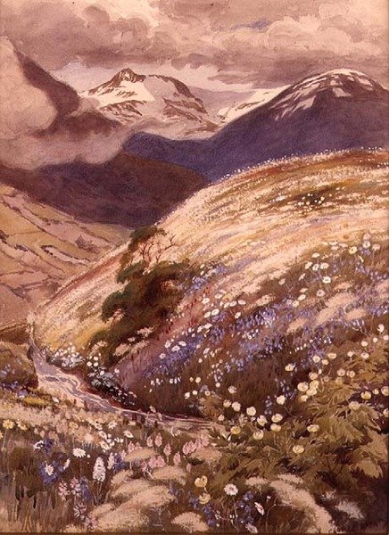 阿尔卑斯山的花（纸上水彩） 作者 乔治·索珀