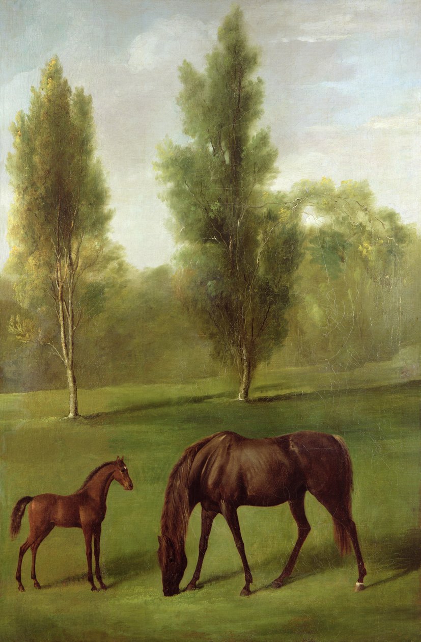 树木繁茂的风景中的栗母马和小马驹，约 1761-63 年（布面油画） 作者 乔治·斯塔布斯