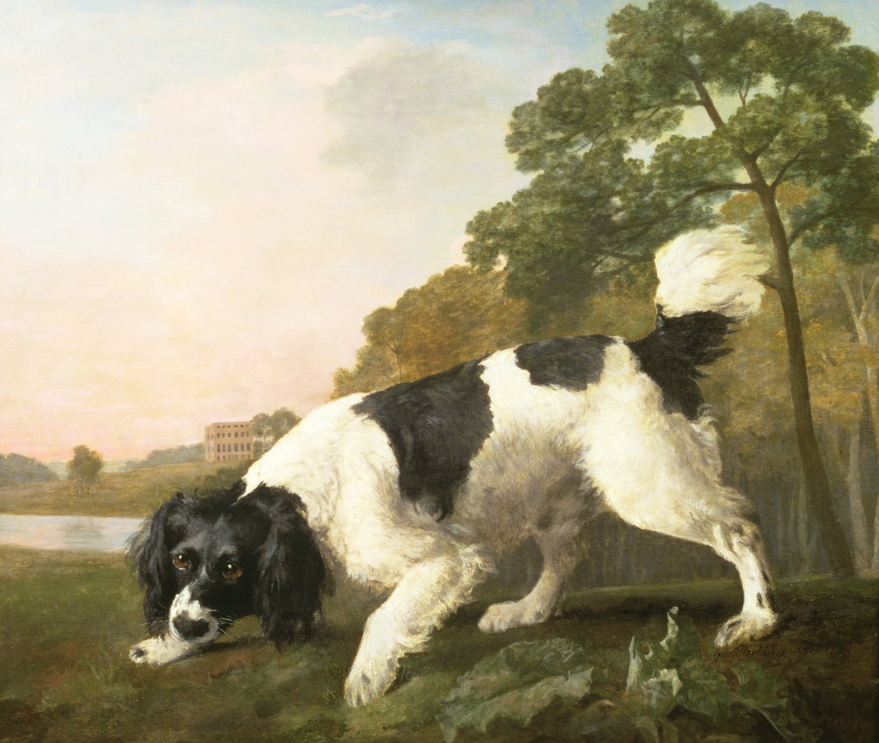 1771年的景观中的西班牙猎犬 作者 乔治·斯塔布斯