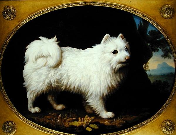 白斯皮茨，约1770年（珐琅彩瓷器上的油画）。 作者 乔治·斯塔布斯