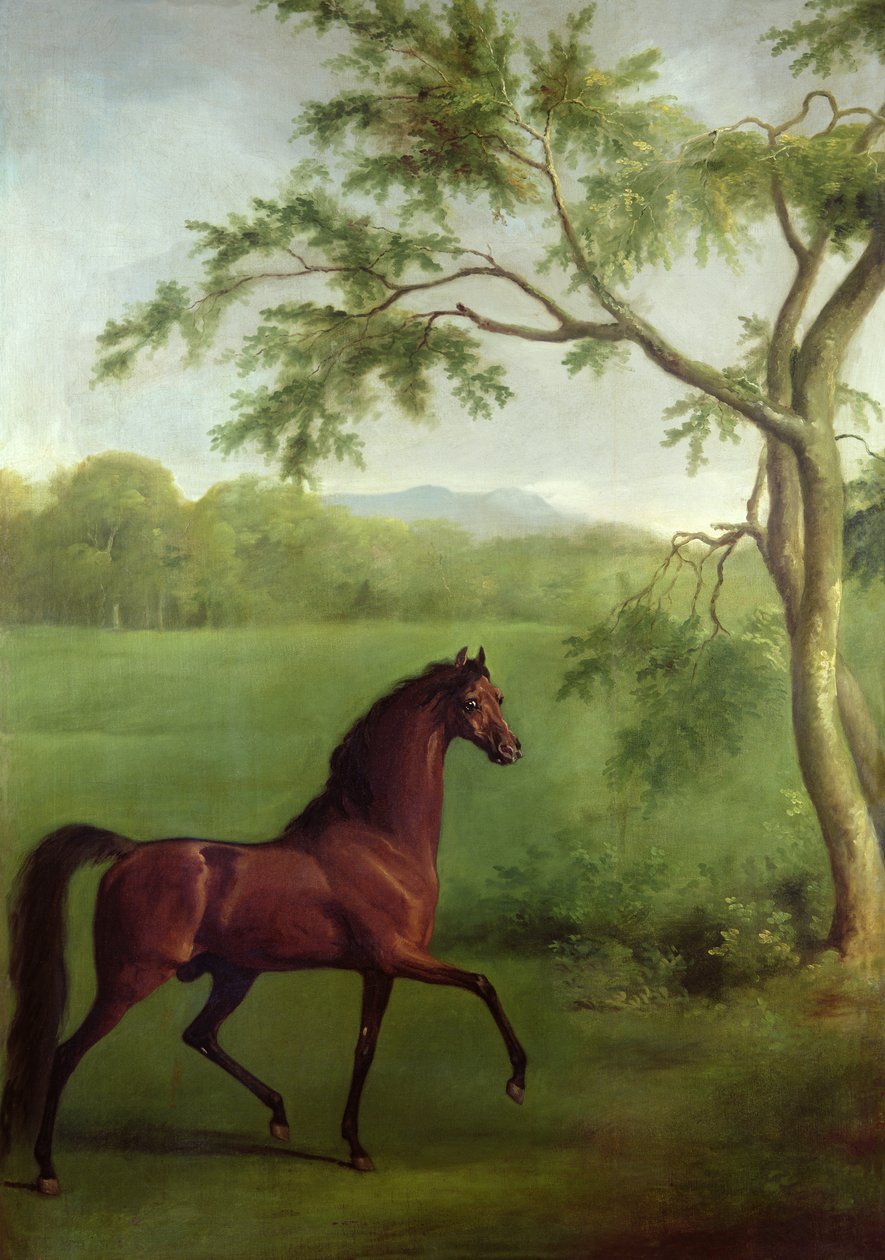 树下的阿拉伯种马，约1761-63（布面油画 作者 乔治·斯塔布斯