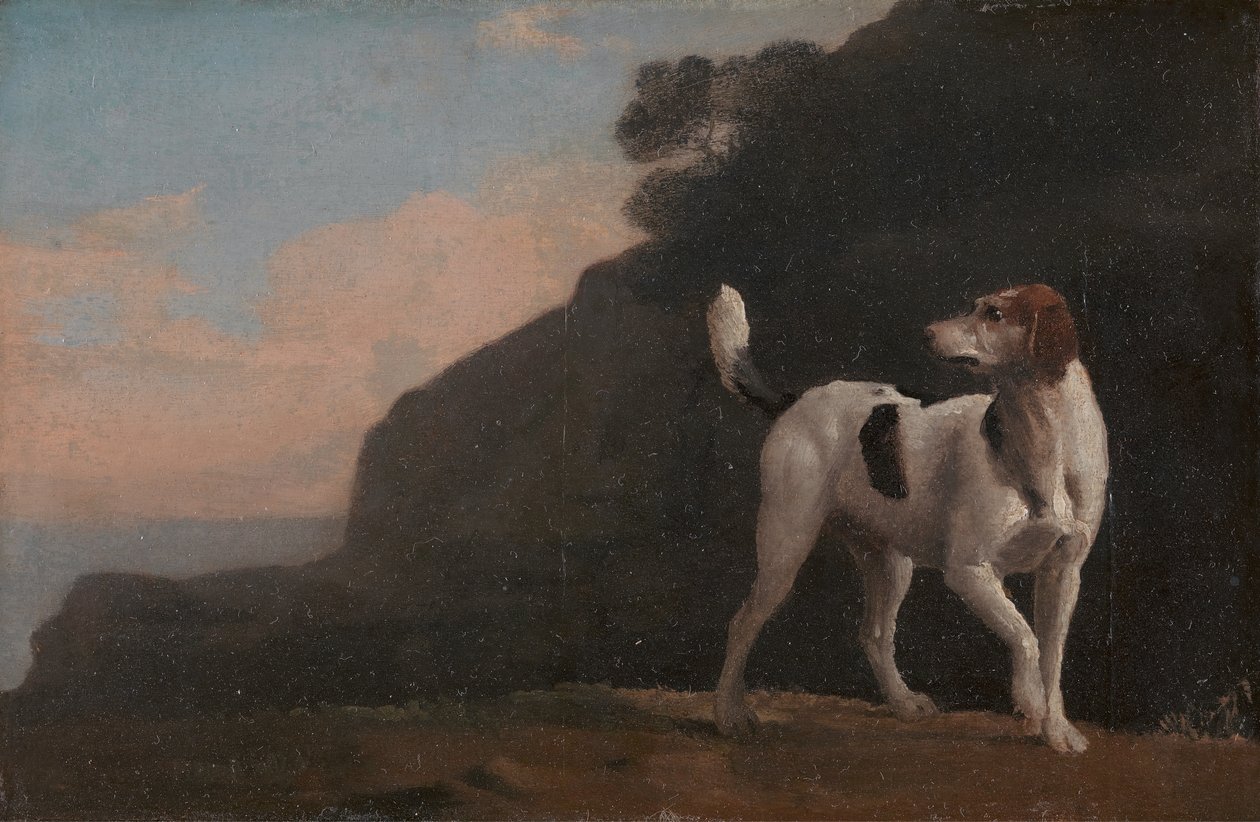 猎狐犬,一只猎狐犬，约1760年。 作者 乔治·斯塔布斯