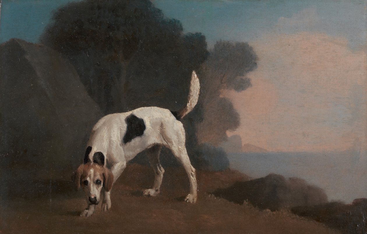 猎狐犬，嗅觉上的猎狐犬，约1760年。 作者 乔治·斯塔布斯