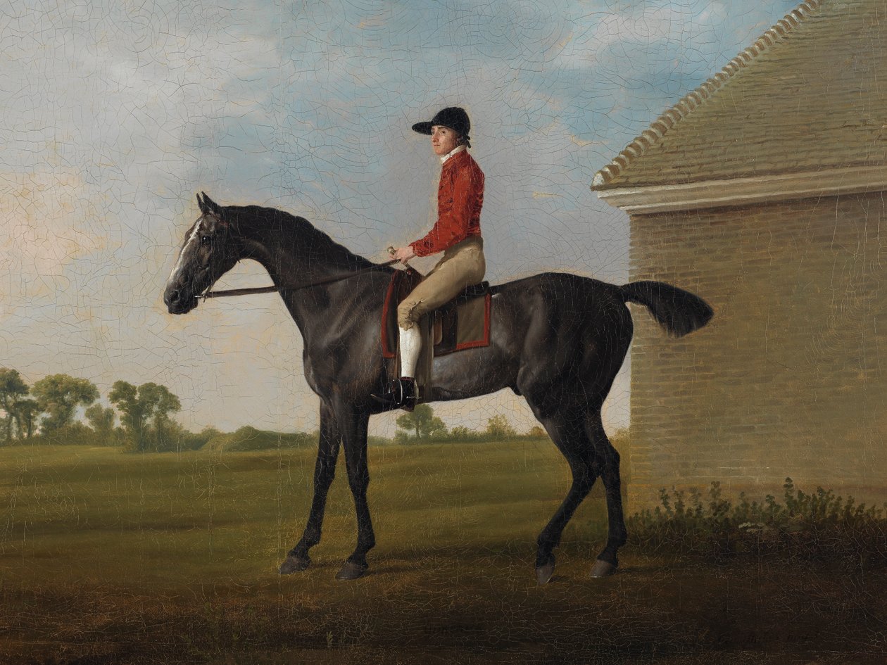 金克拉克（Gimcrack）和约翰·普拉特（John Pratt）一起在《纽马克·希思》上发表，1795 作者 乔治·斯塔布斯