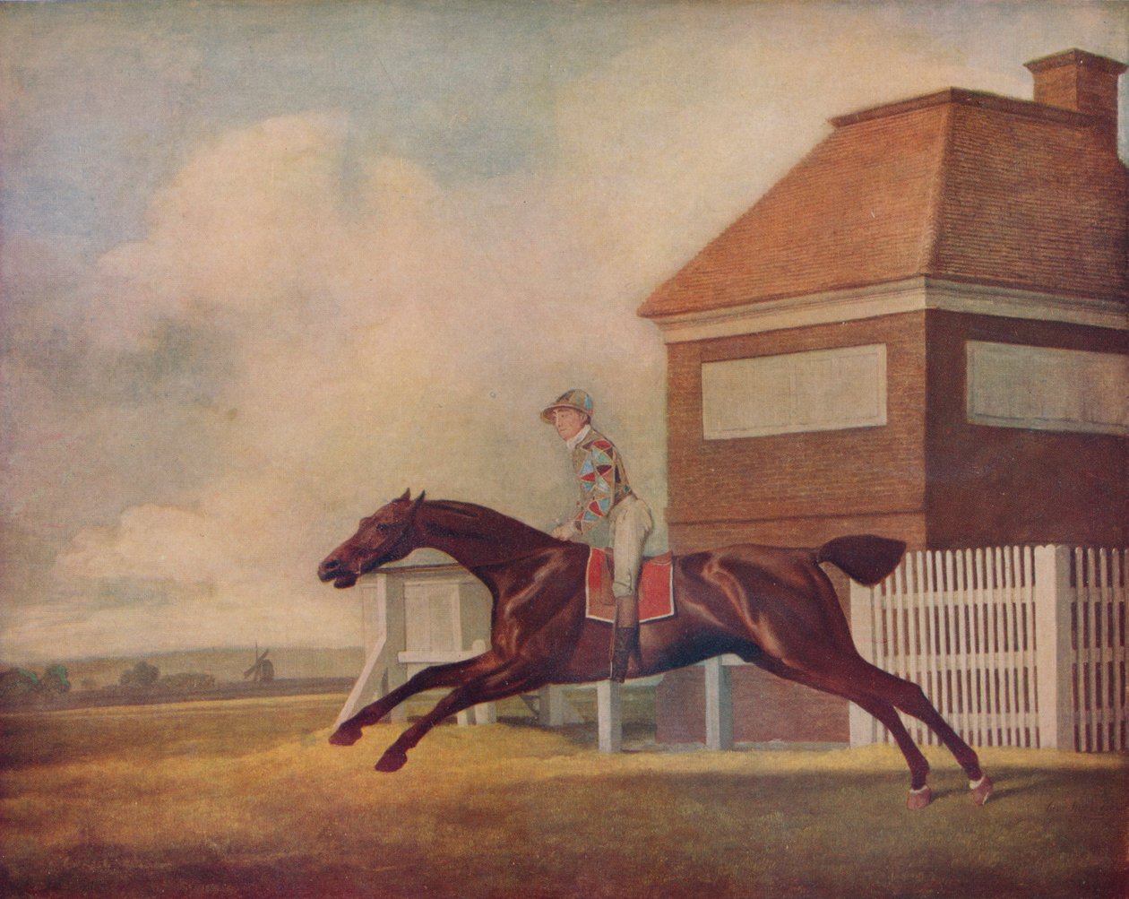 Ogilvys Bay Racehorse Trentham先生在纽马克特（Newmarket）骑师骑师，1771年 作者 乔治·斯塔布斯