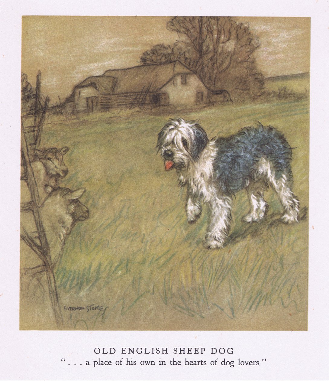 英国牧羊犬（彩色印刷版） 作者 乔治·弗农·斯托克斯