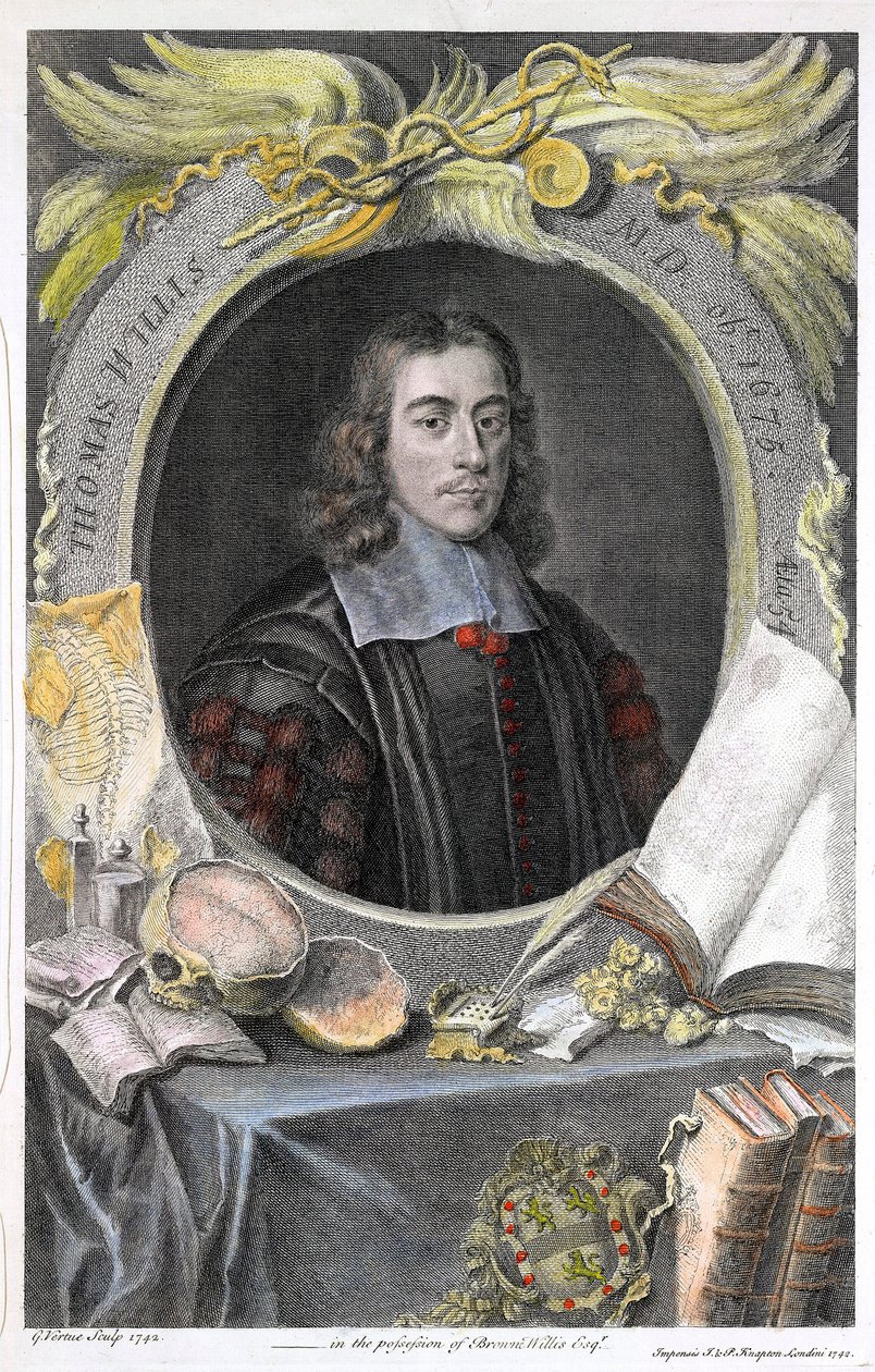 Portrait du medecin anglais Thomas Willis (1622-1675).托马斯-威利斯（Thomas Willis，1621-1675 年），英国医生，英国版画家乔治-维尔图（George Vertue）手绘彩色版画。©UIG/Leemage 作者 乔治·维尔图