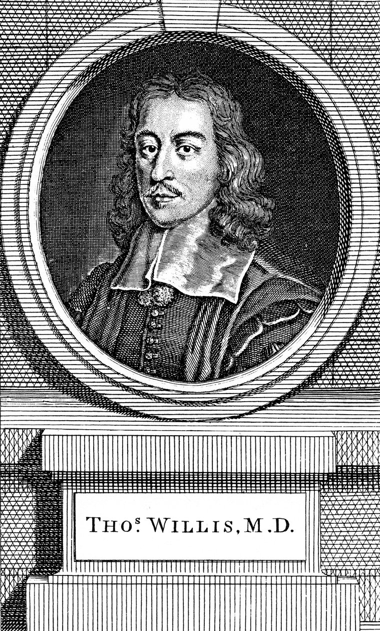 托马斯·威利斯（Thomas Willis），17世纪英国医师，1742年 作者 乔治·维尔图