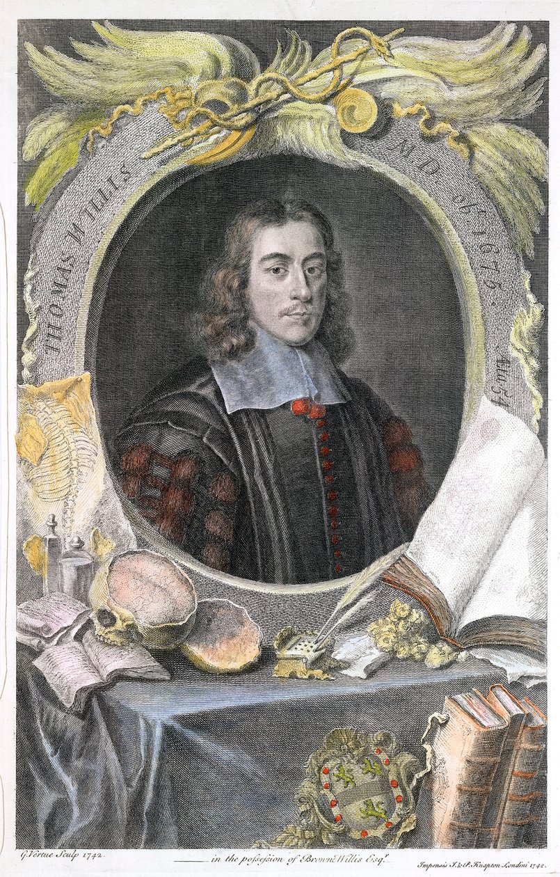托马斯·威利斯（Thomas Willis），17世纪英国医师，1742年 作者 乔治·维尔图