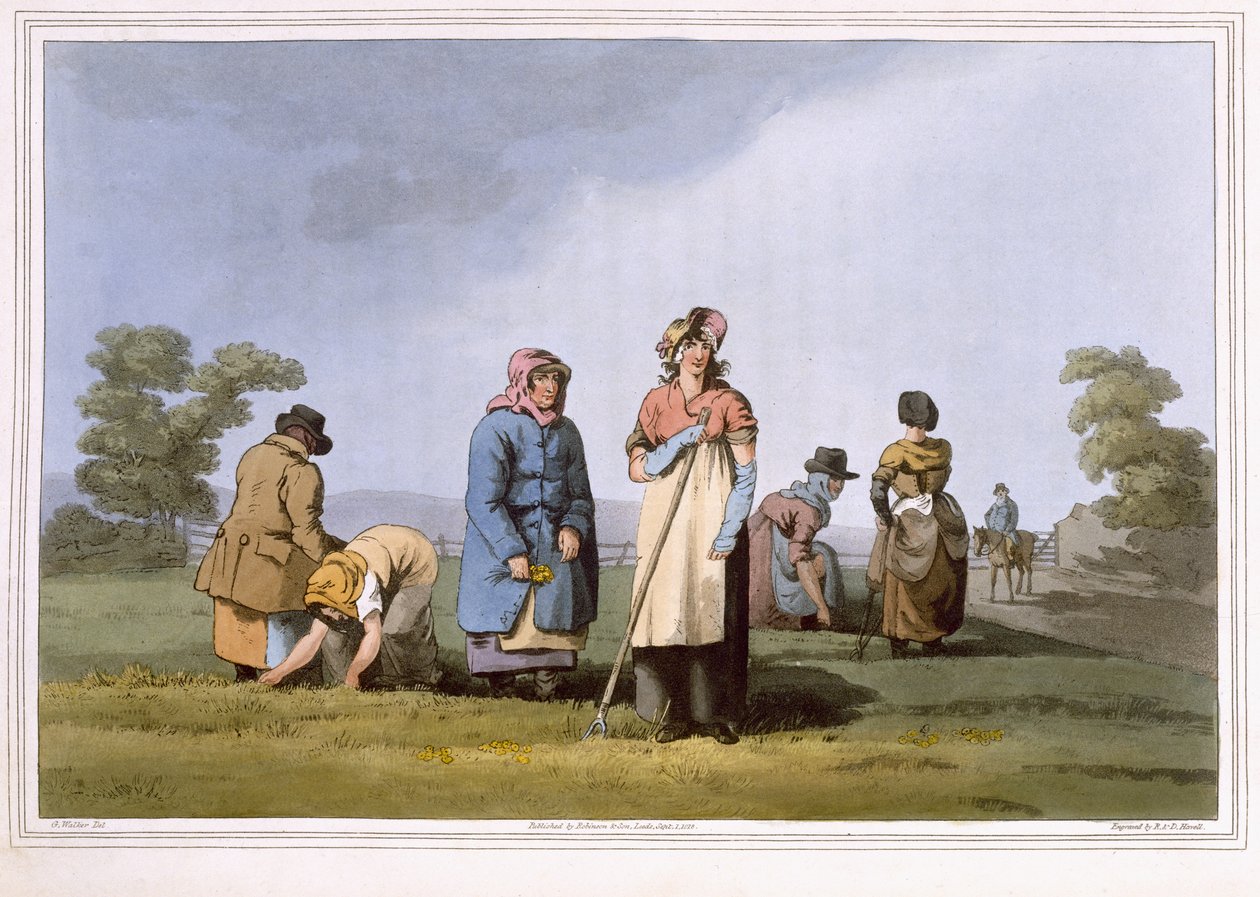 由罗伯特·哈维尔（Robert Havell the Elder）雕刻的下坡者，由利兹的罗宾逊和儿子于1814年出版 作者 乔治·沃克