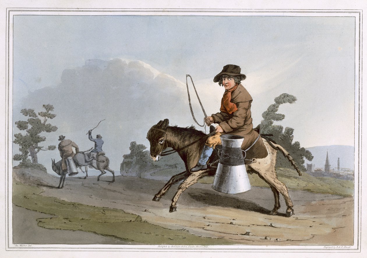 牛仔男孩，由Robert Havell the Elder雕刻，由利兹的罗宾逊和儿子于1814年出版 作者 乔治·沃克