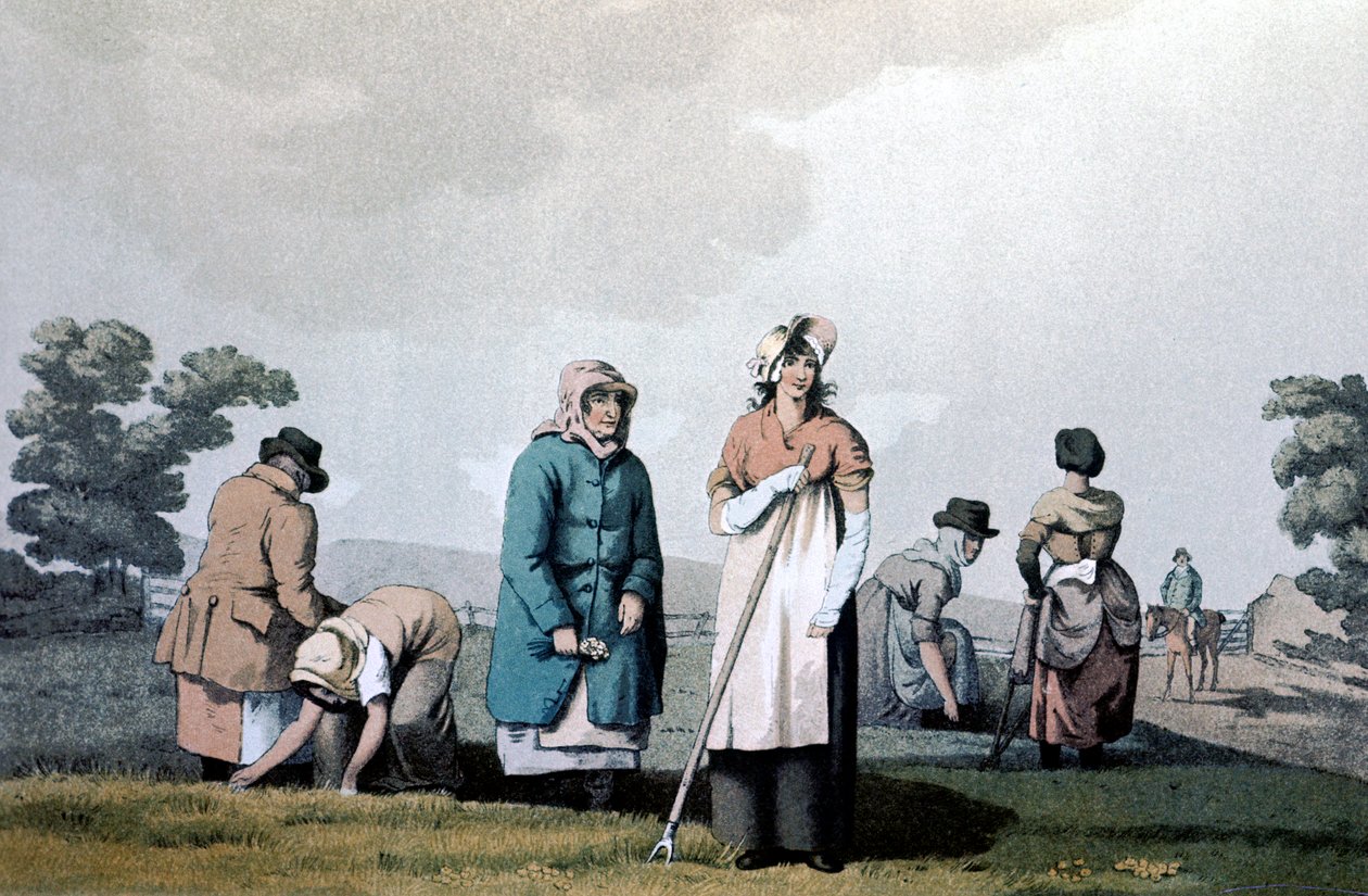 Lowkers--为玉米除草的妇女，1814年 作者 Seacroft 的 George Walker