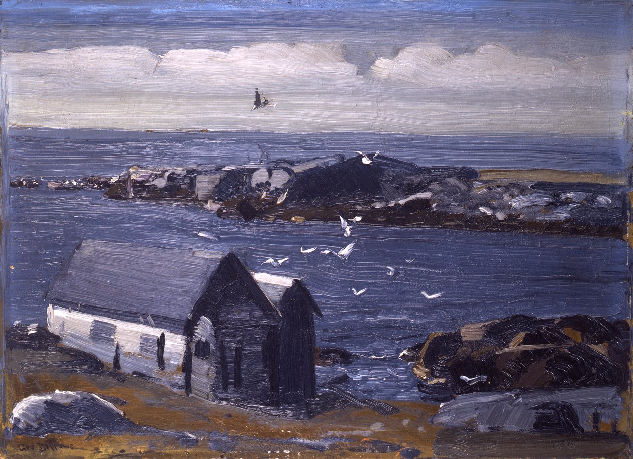 The Gulls，Monhegan，c.1913 作者 乔治·韦斯利·贝洛斯