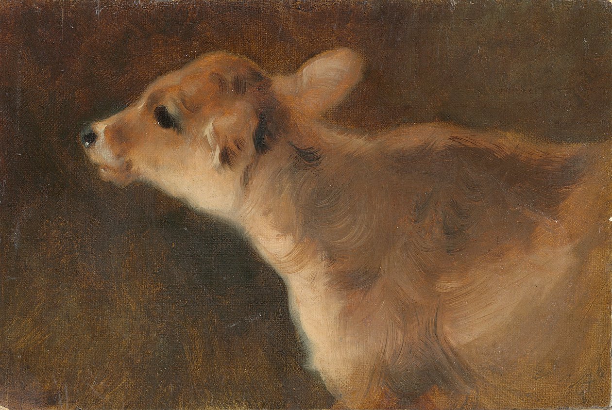小牛，1879年（布面油画） 作者 乔治·威廉·霍洛尔