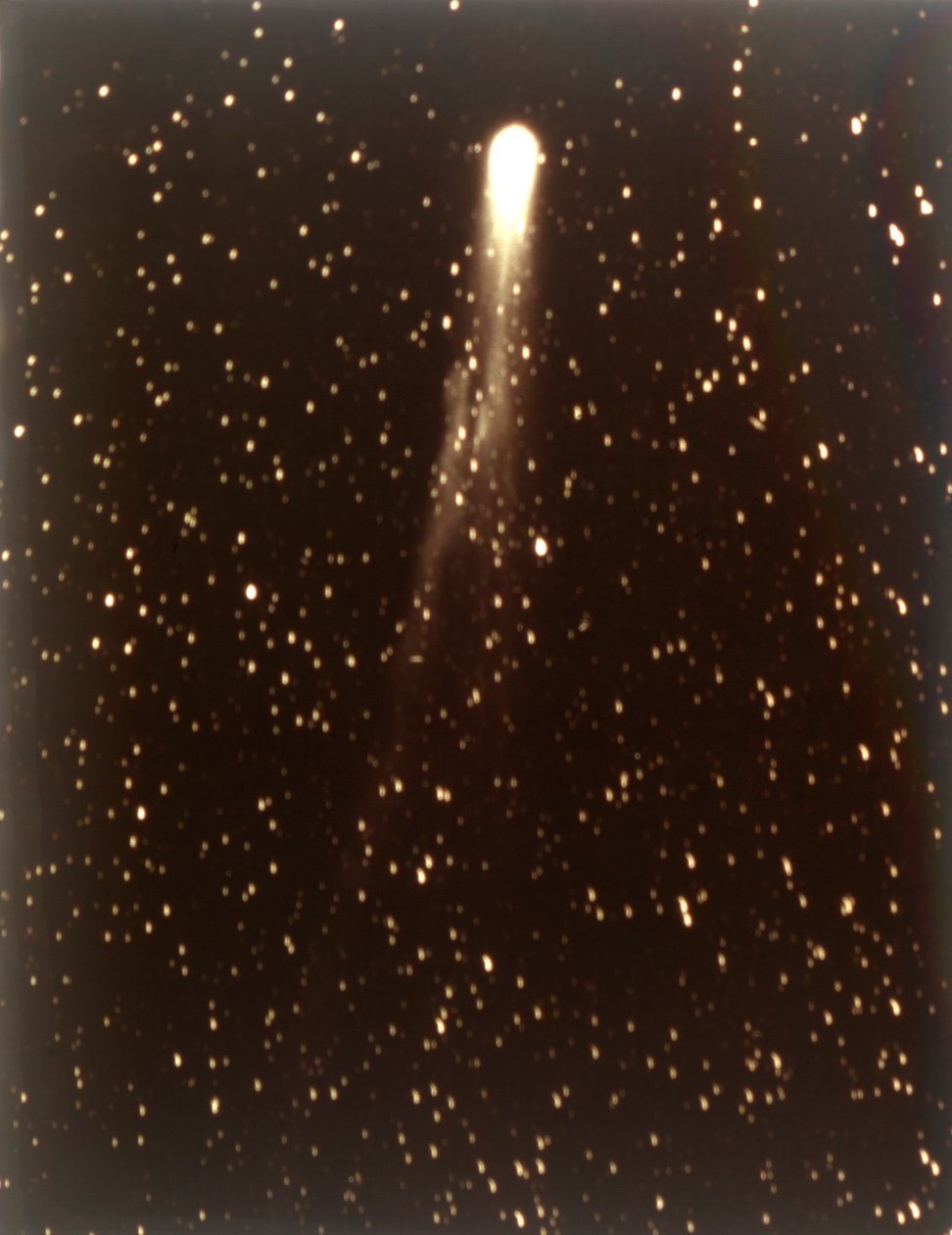 哈雷彗星，1910年。 作者 乔治·威利斯·里奇
