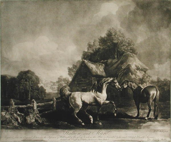 Stallion和Mare，由George Townley Stubbs（1756-1815）1776（mezzotint）雕刻 作者 乔治·斯塔布斯之后