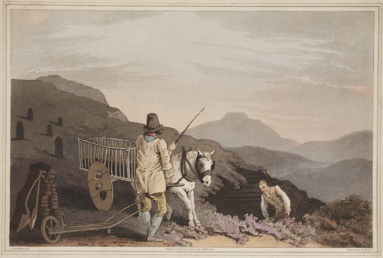 The Pigat of Yorkshire的Peat Cart，由Robert Havell雕刻，1814年（手工彩色aquatint） 作者 沃克之后的乔治