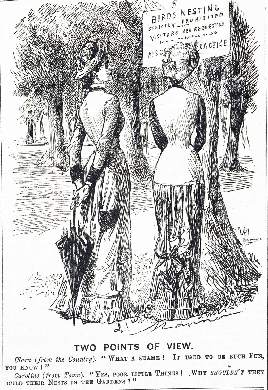 Cartoon commenting on the Protection of Birds Act 1880 作者 乔治·杜莫里耶