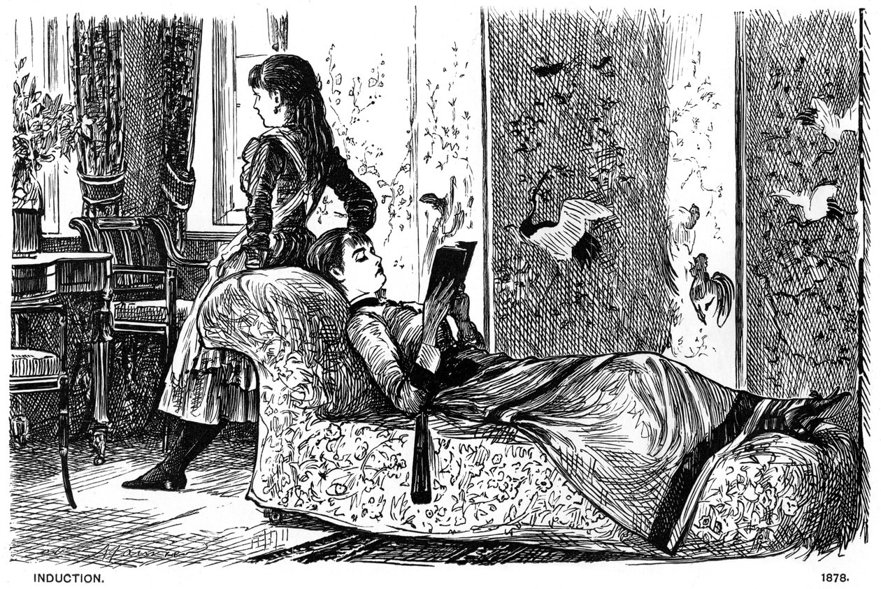 1878年归纳（1891年）。 作者 乔治·杜莫里耶