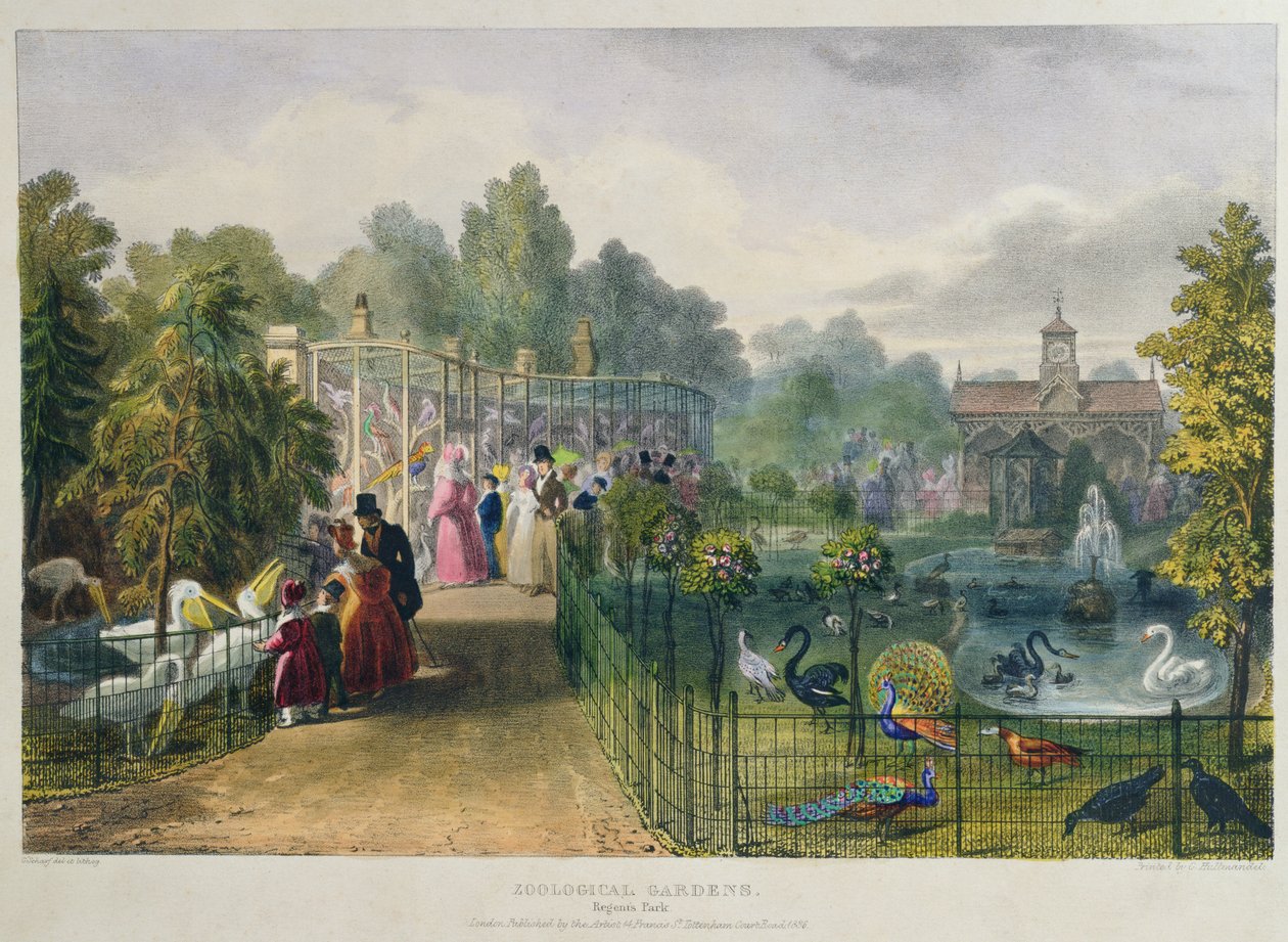 动物园的鸟舍，摄政公园，刻和酒吧。由艺术家创作，由Charles Hullmandel（1789-1850），1836年创作 作者 乔治·夏普