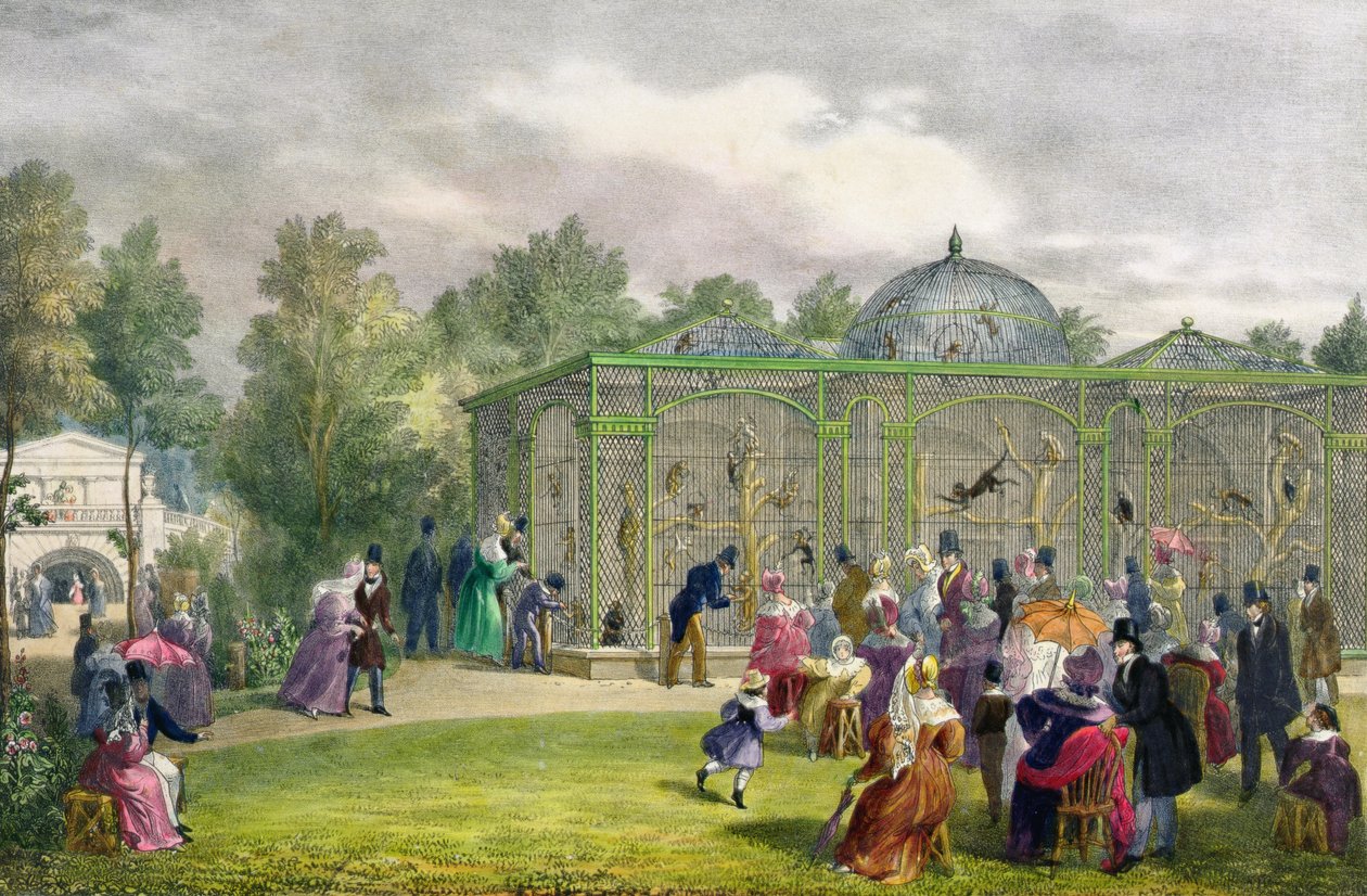 摄政公园的动物园猴子屋刻有酒吧。由艺术家创作，由Charles Hullmandel（1789-1850），1835年创作 作者 乔治·夏普