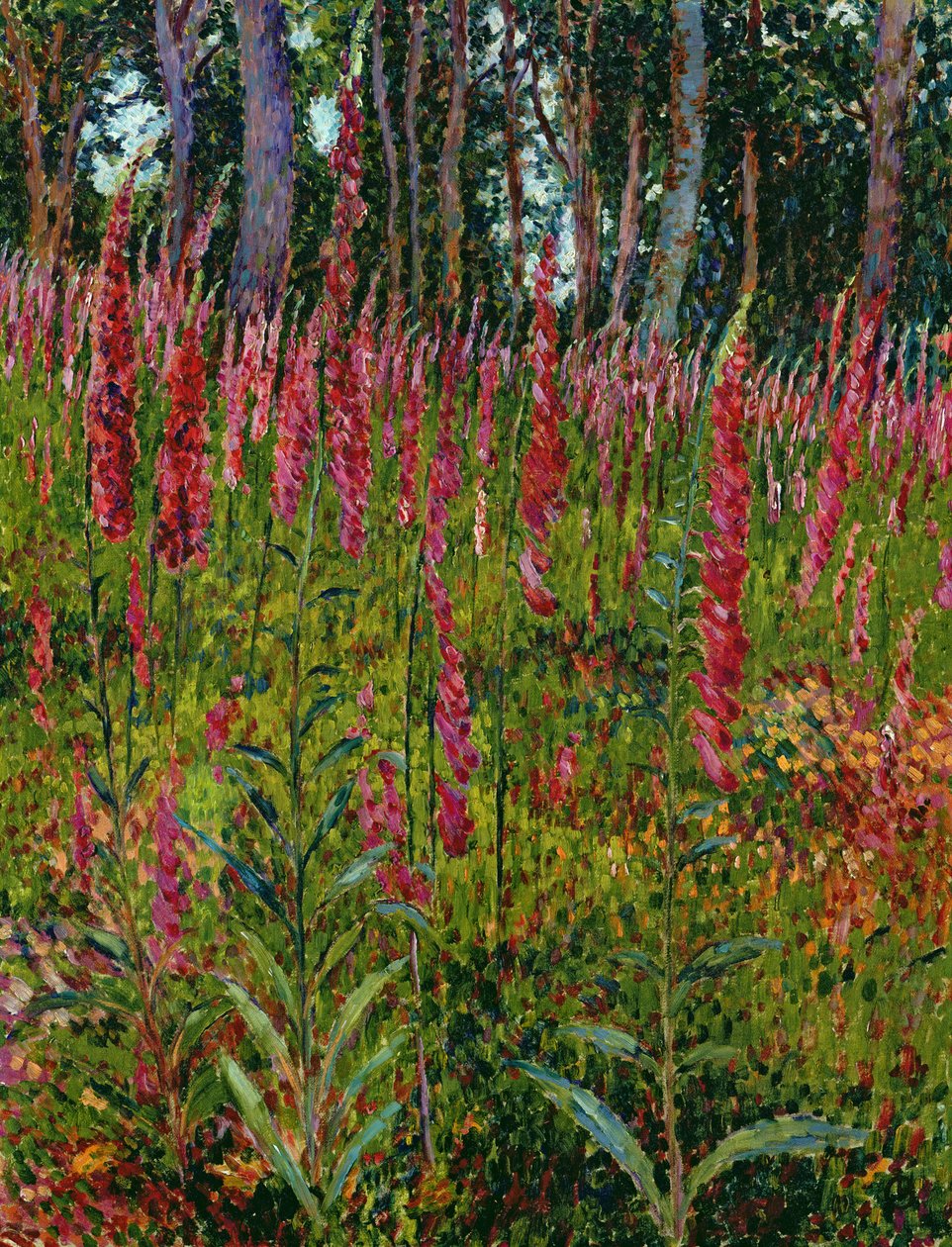 Foxgloves，c.1916 作者 乔治·拉科姆