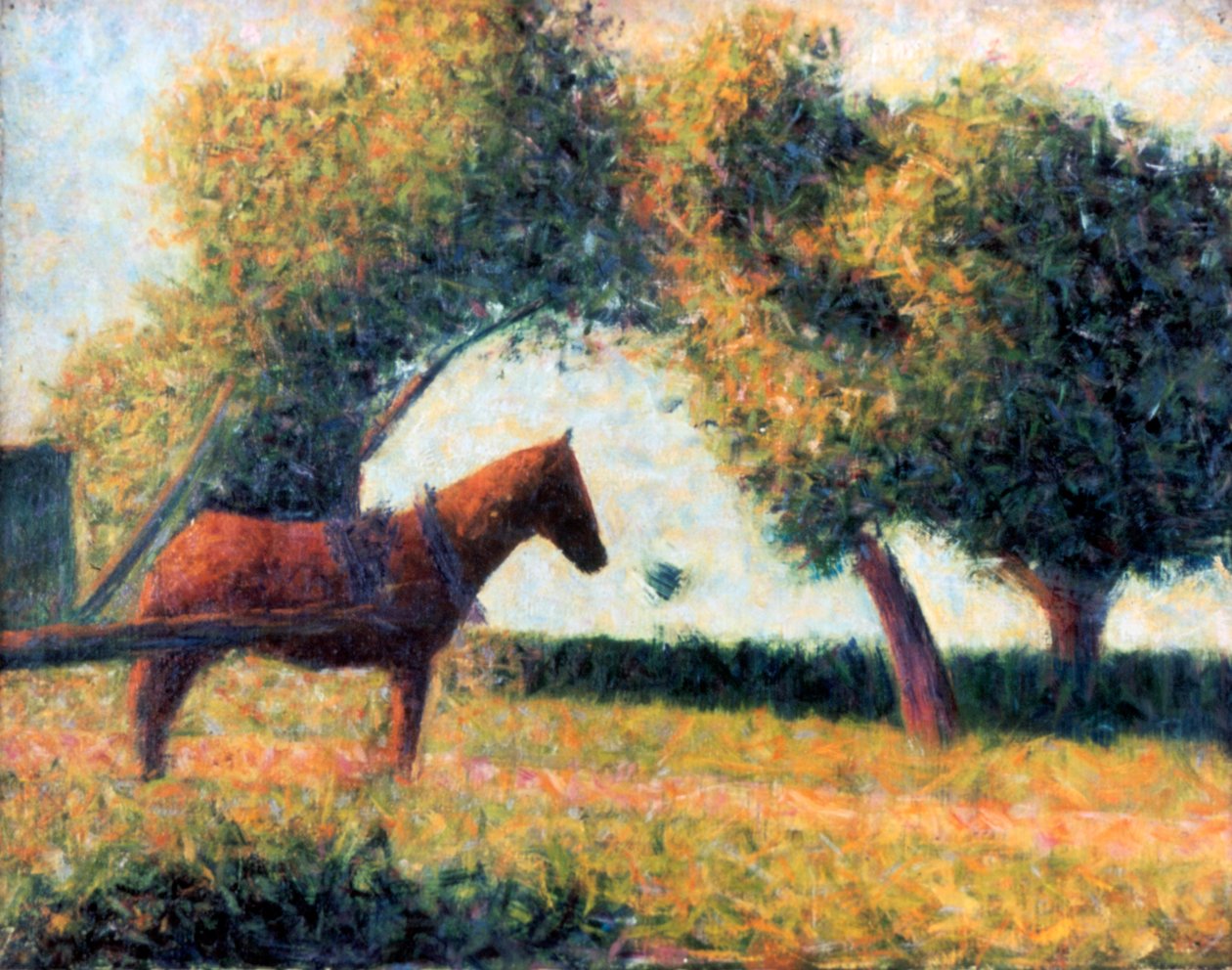 Horse马，1883年 作者 乔治·皮埃尔·苏拉特