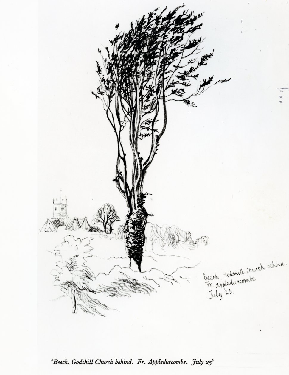山毛榉，Godshill教堂背后。神父。 Appledurcombe。 7月25日，1860年代 作者 杰拉德·曼利·霍普金斯