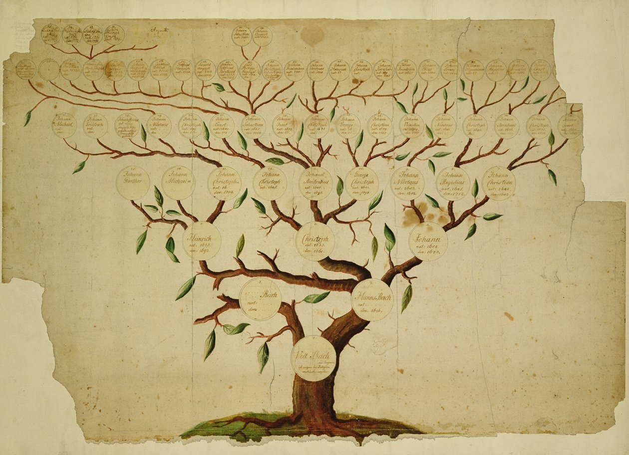 Bach Family Tree，1750-1770（钢笔墨水和铅笔在纸上） 作者 德国学校