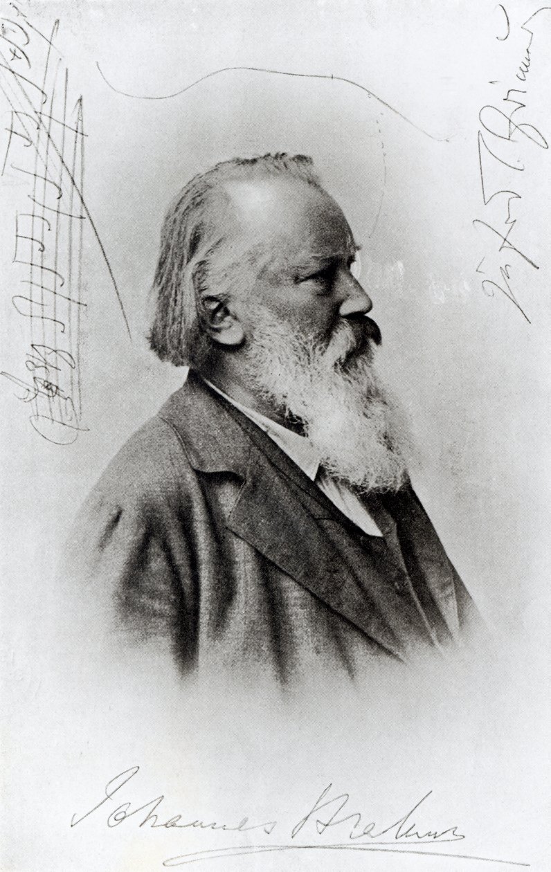 约翰内斯勃拉姆斯（1833-97）（照相凹版） 作者 德国学校