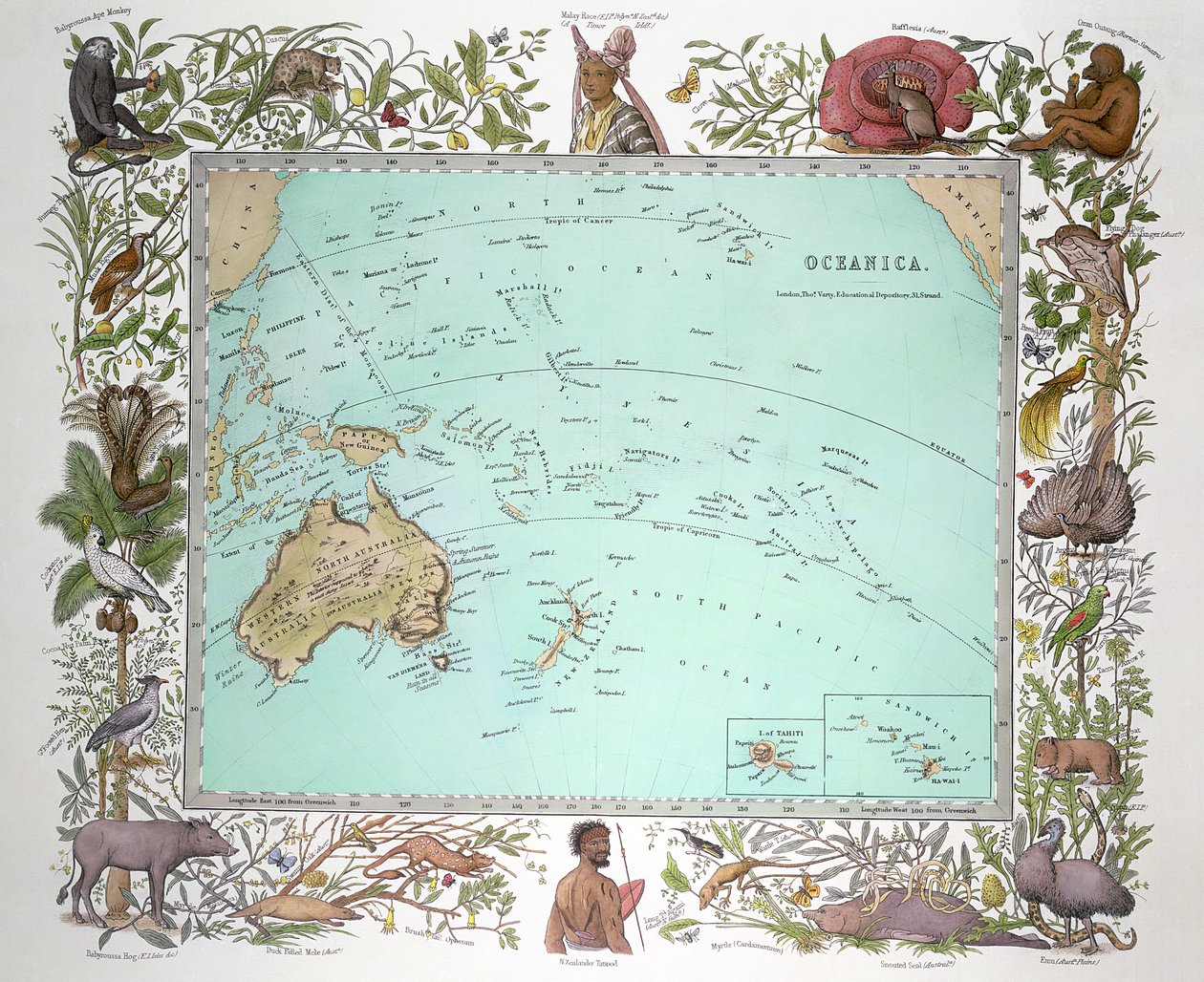 Oceanica，来自Vogel的物理地图集，1850年 作者 德国学校