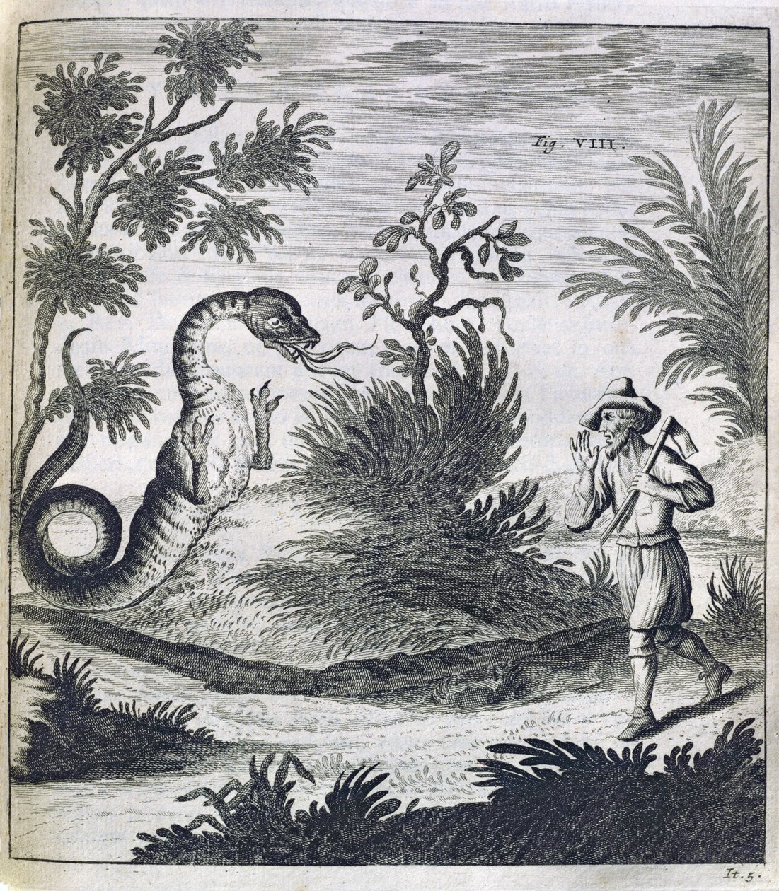 一条恐惧的龙，1660年 作者 德国学校