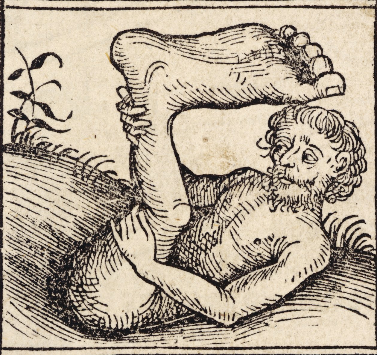 一只脚鼩，脚肿的人，出自哈特曼-斯切尔（1440-1515 年）的《Registrum Hujus Operis Libri Cronicarum cum Figuris et Imagibus ab Inicio Mundi》，纽伦堡出版 作者 德国学校